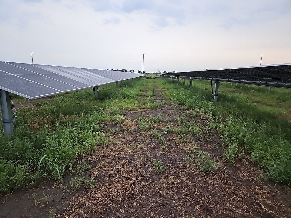 Solar panels installed in a field with a dirt path