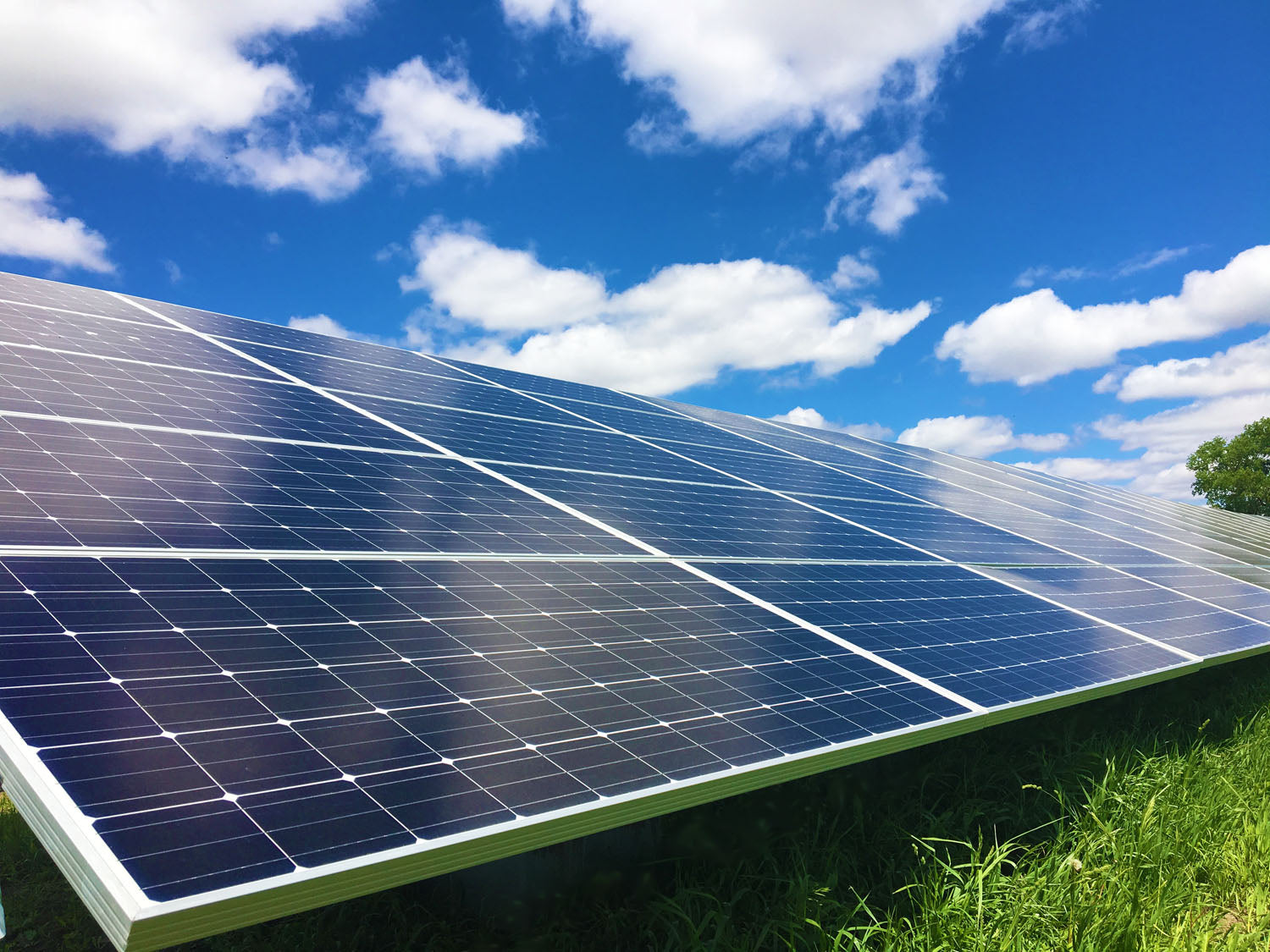 This single solar panel is set at an angle in the photo.  There is a bright blue sky with white puffy clouds in the background and a small section of bright green grass below.