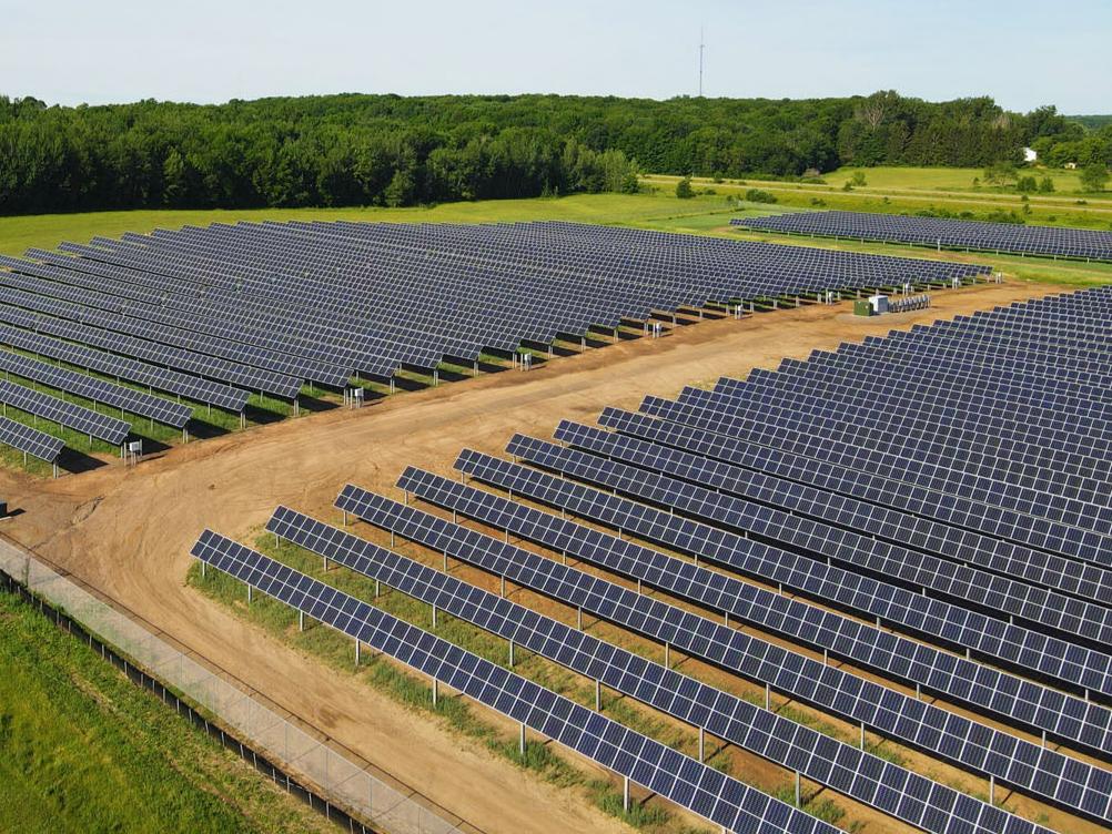 A close up of solar panels at a finished job site.  The panels are in a dirt field with a dirt driveway separating the two main rows.  There is lush grass and trees around this site.