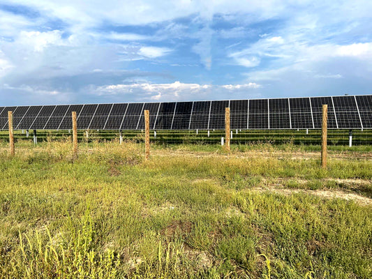 Solar panels in a field with a clear sky